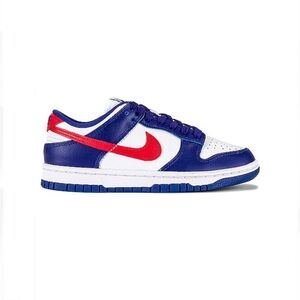 Nike USA Dunks